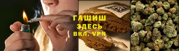 молекула духа Арсеньев