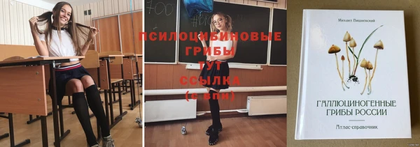 прущий лед Армянск