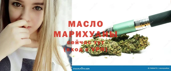 молекула духа Арсеньев