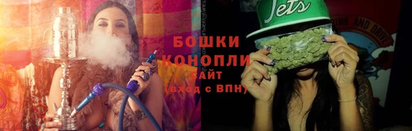 молекула духа Арсеньев