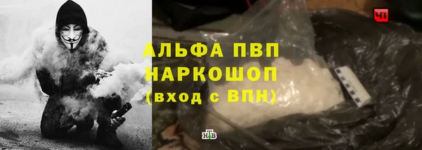молекула духа Арсеньев