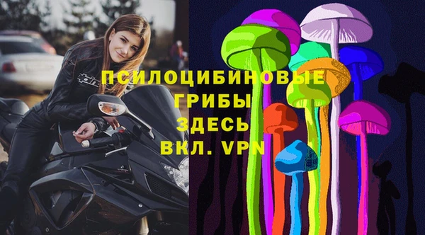 молекула духа Арсеньев