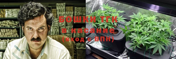 молекула духа Арсеньев