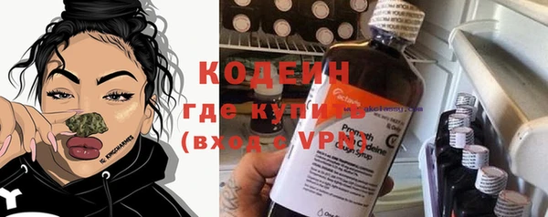 молекула духа Арсеньев