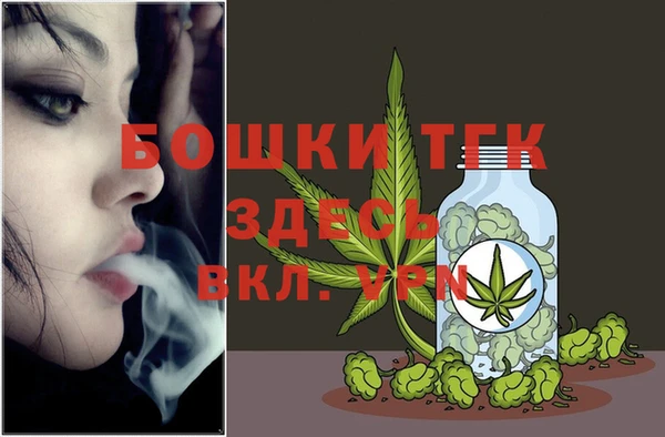 молекула духа Арсеньев