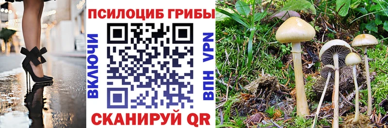 Псилоцибиновые грибы Cubensis  Артёмовский 